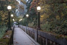 Arboretum (1 of 3).jpg