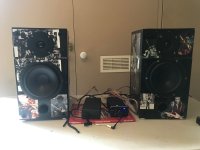 Jimi Peerless Speakers.jpeg