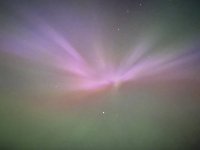 IMG_8398.jpeg