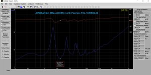 SMALLORN UNIT 1 INPUT Z WITH Peerless FSL-1020R02-08 TYMPHANY 10.jpg