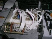 5_internal 2.JPG