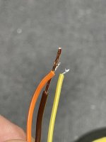 IMG_9207.jpeg