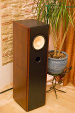 SWR200alnico-BR.jpg