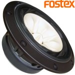 fostex-fe168ez-I.jpg