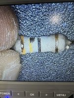 IMG_3806.jpeg