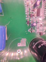 IMG_20240528_054103746.jpg
