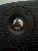 PSB 2b tweeter.jpeg