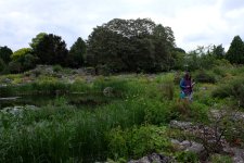 DSCF4027.JPG