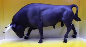 spanish bull.jpg