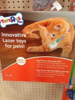 DriveYourCatInsane.jpg