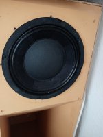 IMG_20240615_161209.jpg