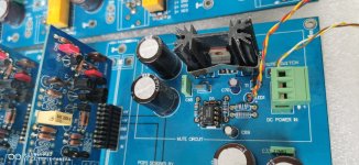 Erno Xover Speaker Builder (18).jpg