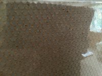 IMG_1498.jpeg