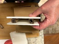 IMG_0521.jpeg