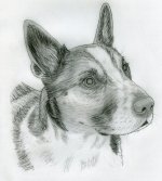 Niki_20120316a.jpg