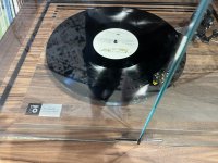 IMG_3236.jpeg