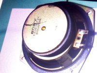 Compress_20240627_023728_8161.jpg