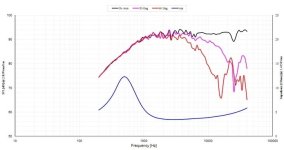 IMG_2209.jpeg