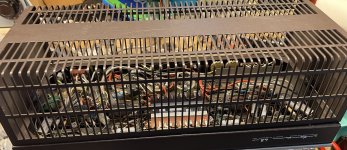 IMG_1096.jpeg