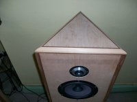 seas triangle top.jpg