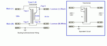 buckx-figure 4 - marked.gif
