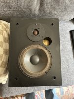IMG_4766.jpeg