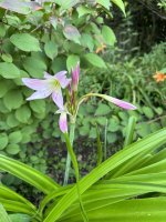 IMG_1422.jpeg
