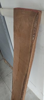 IMG_20240707_182910.jpg