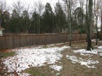 snow sm 13 nov 08.jpg
