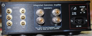 Jamie's Amp - Rear Panel (flash).jpg