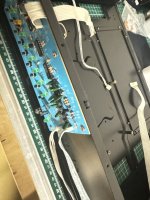 IMG_2753.jpeg