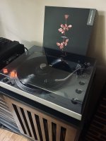 IMG_1586.jpeg