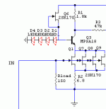 1stLN.gif