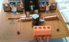 temp2.GIF