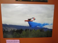 IMG_8165.jpg