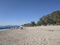 IMG_20240815_172022.jpg