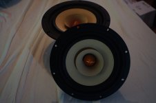 Tangband W8-1808 1.JPG