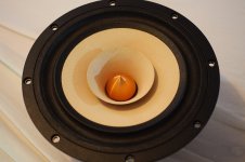 Tangband W8-1808 3.JPG
