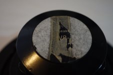 Tangband W8-1808 6.JPG