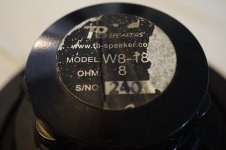 Tangband W8-1808 9.JPG