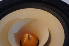 Tangband W8-1808 10.JPG