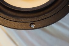 Tangband W8-1808 12.JPG