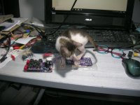 DSCN7127.JPG