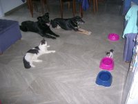 DSCN7133.JPG