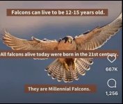 IMG_1608.jpeg