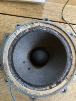5 inch W3 midrange.jpg