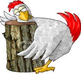 ist2_321683-rooster-with-its-head-on-the-block.jpg