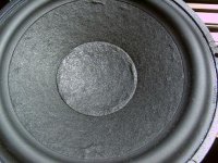 8545.jpg