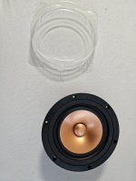 20240905_173920.jpg