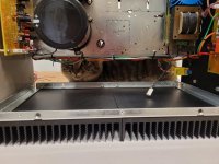 20240904_104824.jpeg